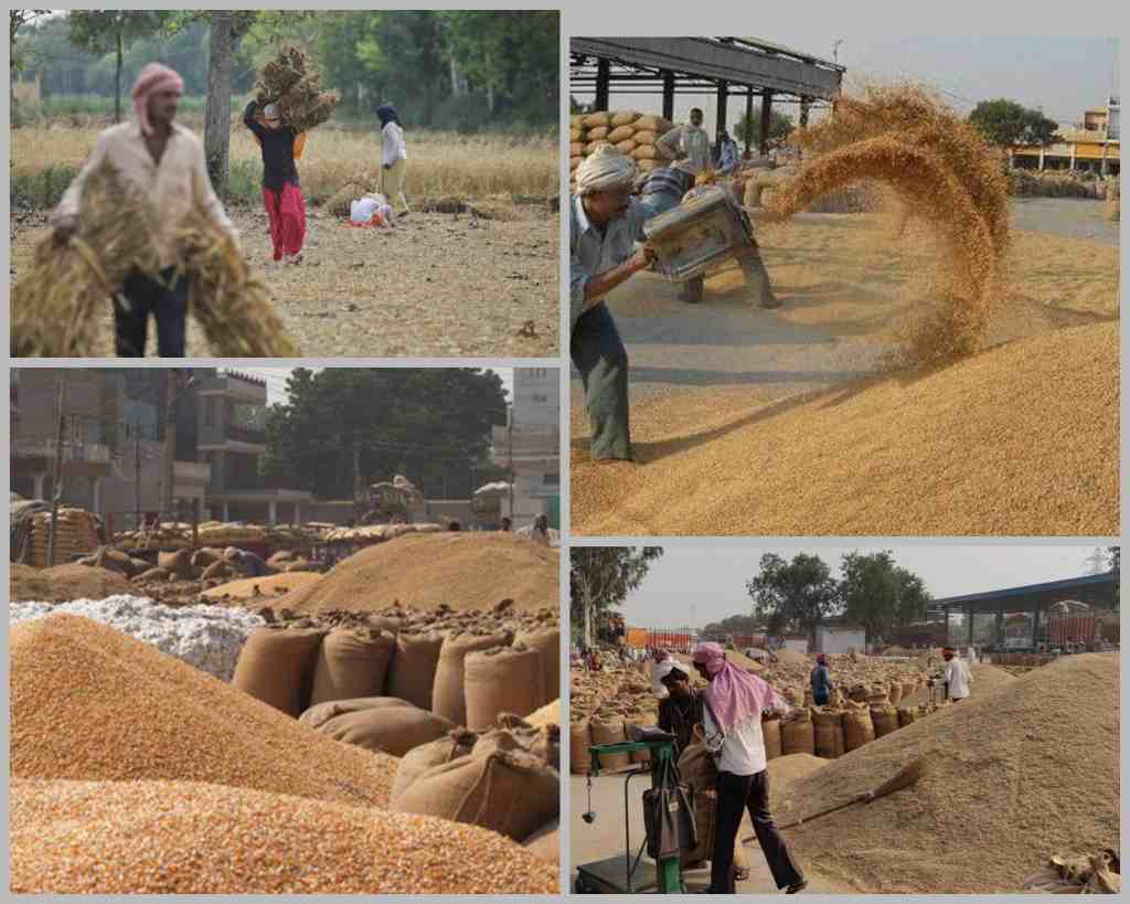 अब किसानों के लिए केंद्र सरकार की बड़ी योजना, अब माल बेचने नहीं जाना पड़ेगा किसानों को बाजार।