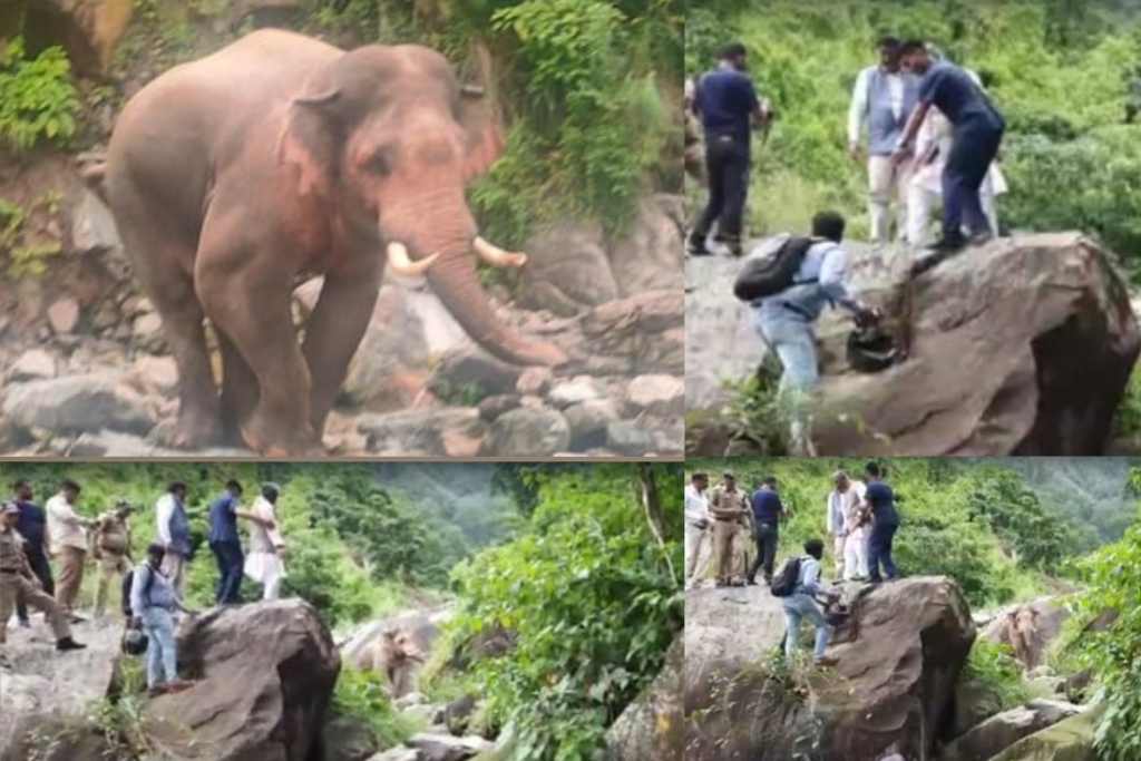 उत्तराखंड में पूर्व सीएम त्रिवेंद्र की गाड़ी के आगे आए गजराज, वाहन छोड़ पहाड़ी पर चढ़ कर बचाई जान।