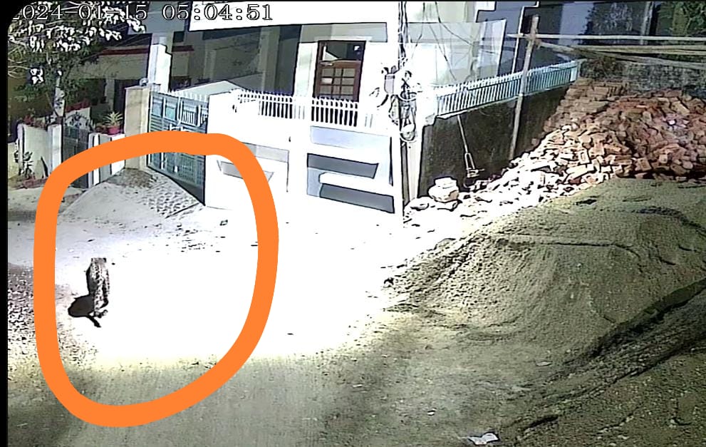 उत्तराखंड की राजधानी में खुलेआम रिहायशी कॉलोनी में घूम रहा है गुलदार, वन विभाग अभी तक ट्रैप करने में नाकाम CCTV मैं कैद हुआ वीडियो।