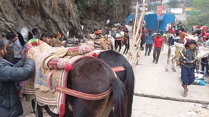 उत्तराखंड की केदारनाथ यात्रा में घोड़ा-खच्चर बीमार हुए तो होंगे क्वारंटीन, कोटमा और फाटा में स्थापित किए गए सेंटर।