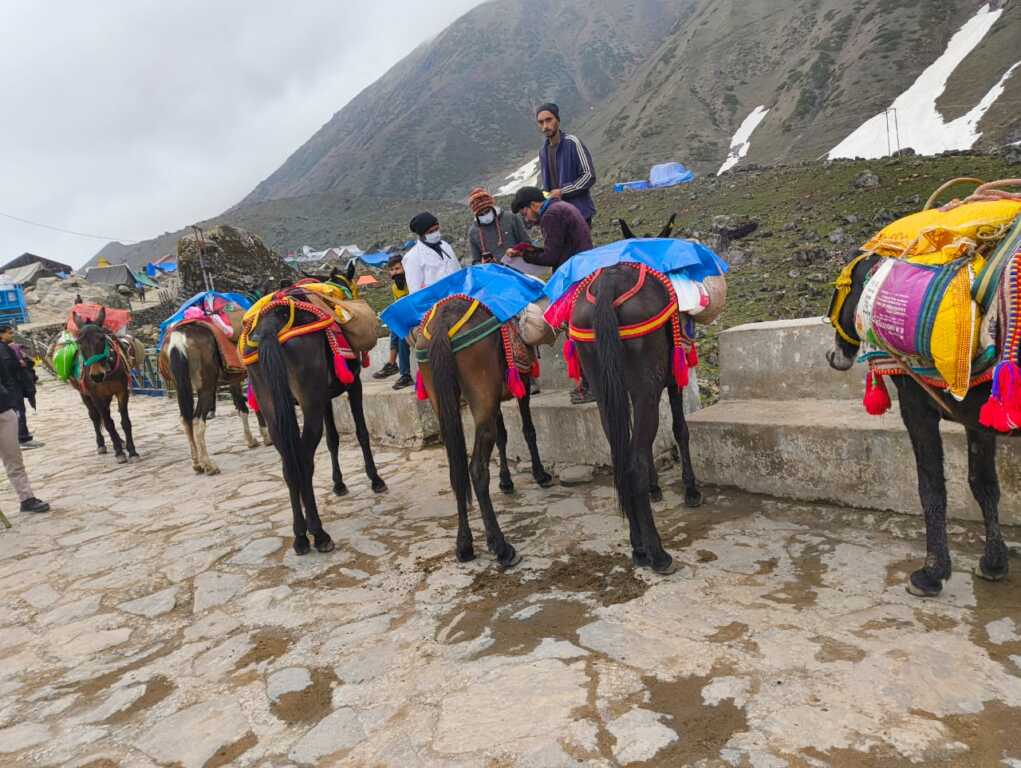 उत्तराखंड में गौरीकुंड से 1709 घोड़ा-खच्चर सवारी लेकर पहुंचे धाम, यात्रियों ने ली राहत की सांस।