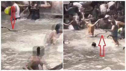 उत्तराखंड की मसूरी के कैम्पटी फॉल में मची अफरा-तफरी: पानी में मौज कर रहे थे सैलानी, अचानक तैरता हुआ आया सांप; वीडियो में देखें मंजर।