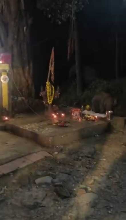 उत्तराखंड में डोईवाला के मनीमाई मंदिर पर हाथियों का तांडव, देखे वीडियो।