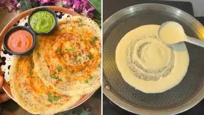 दलिया और पोहा डालकर बनेगा हेल्दी और स्वादिष्ट डोसा, निकिता मिठाईवाला की रसोई से मिली रेसिपी, सेंकना भी है आसान।