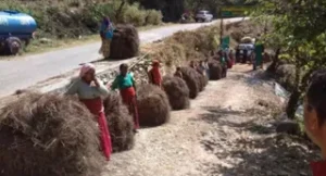 उत्तराखंड में पिरुल से बदलेगी तस्वीर, जंगल बचेंगे और आमदनी भी होगी।