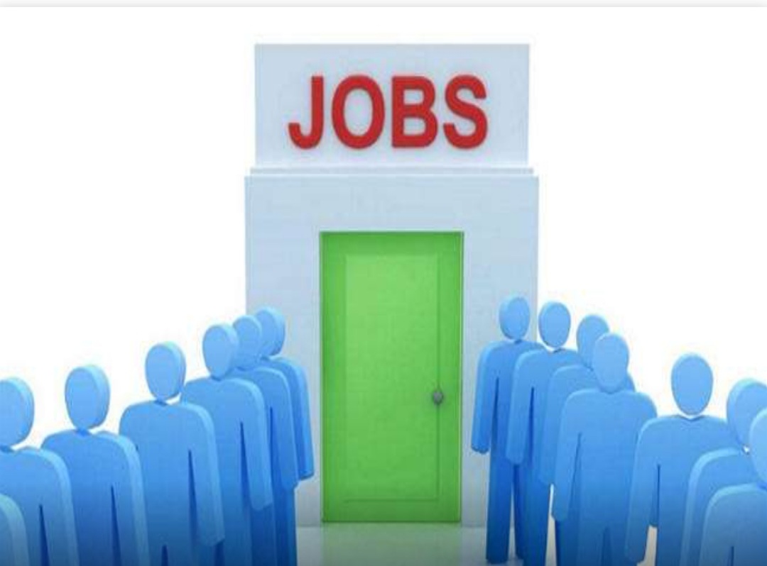 देश की सबसे बड़ी आईटी कंपनी दे रही 25,000 फ्रेशर्स को नौकरी का मौका।