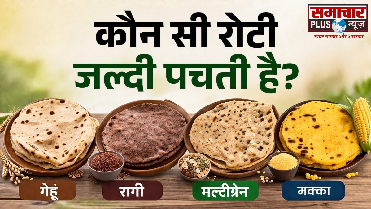 आइये जानते है आज गेहूं, रागी, मल्टीग्रेन या मक्का के किस आटे की रोटी कितने घंटे में पचती है।