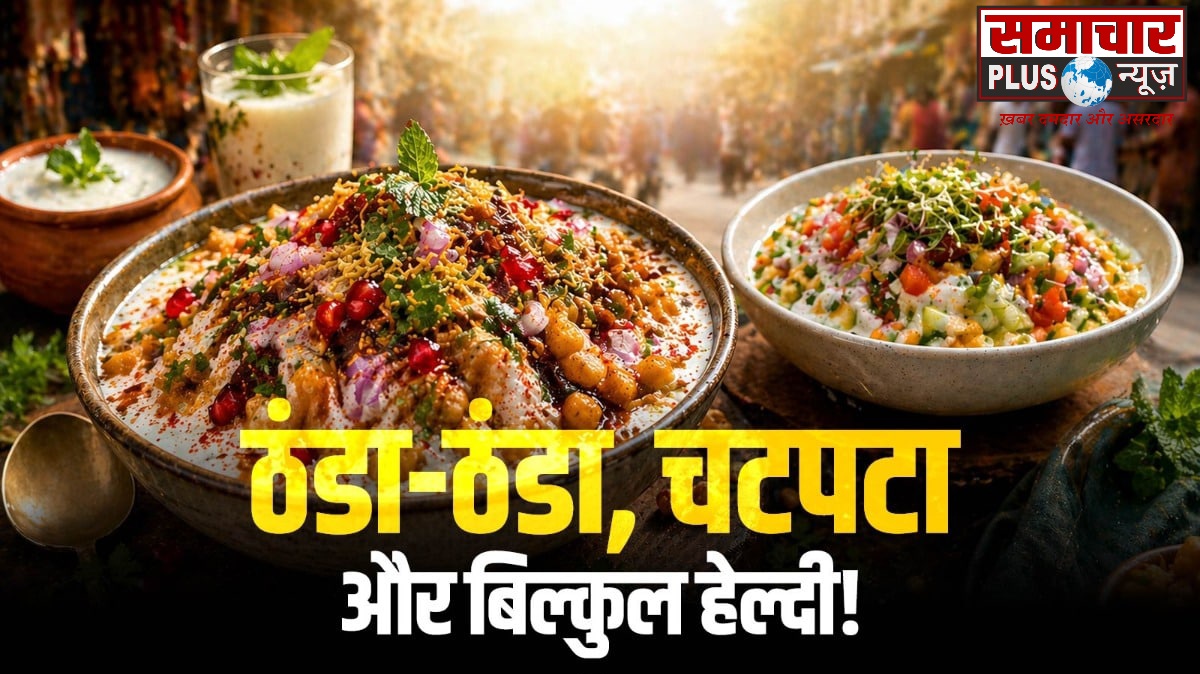 ये है वो जो चिलचिलाती धूप में पेट को ठंडक देगी ‘दही बूंदी चाट’, मिनटों में बनकर होगी तैयार; नोट करें लो-कैलोरी रेसिपी।