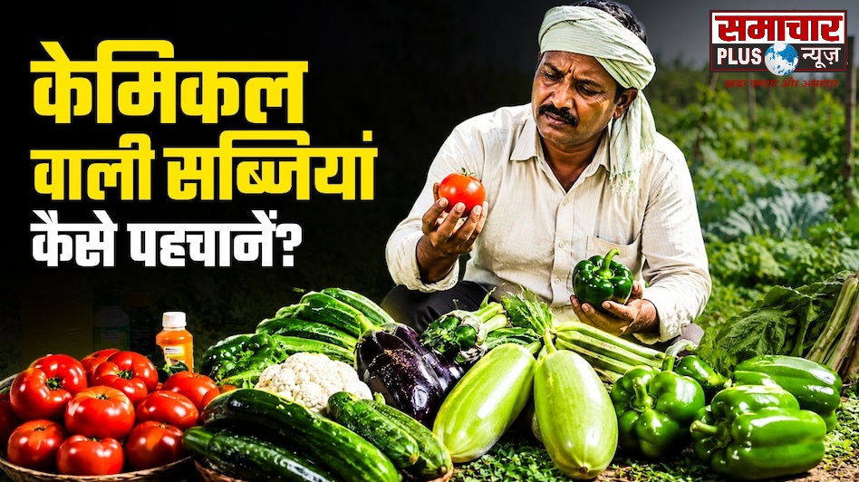 केमिकल वाली सब्जियों को देखते ही कैसे पहचानें? माली भैया ने बताया तरीका।