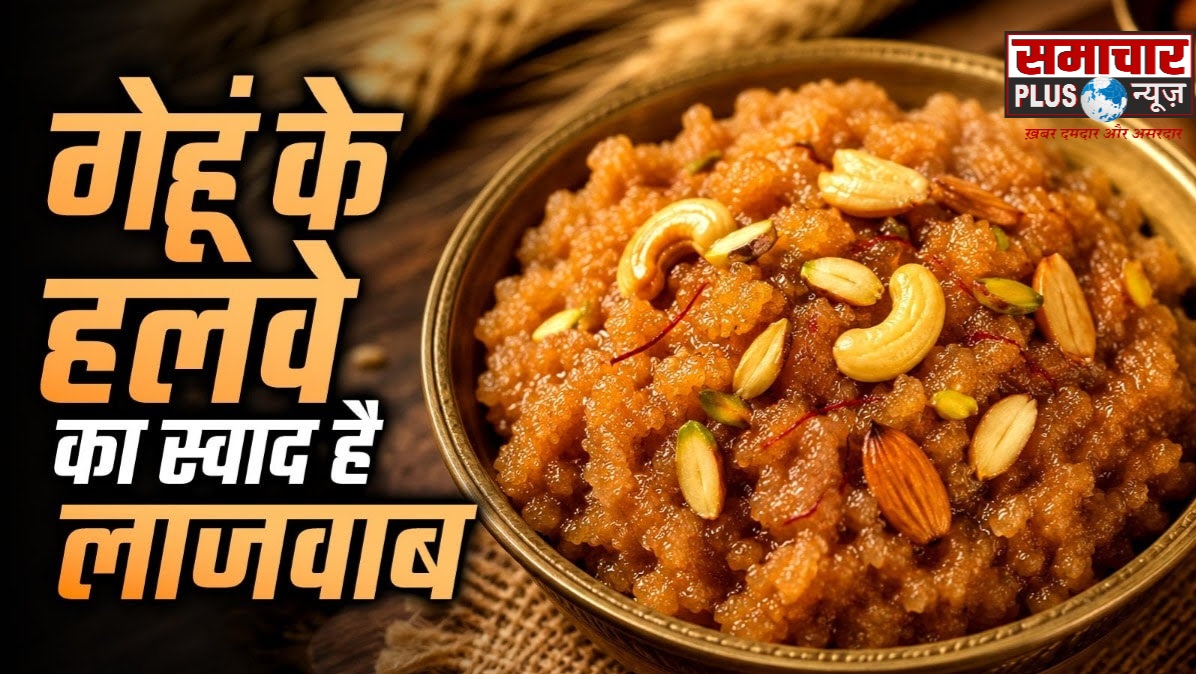 सूजी-आटे का हलवा भूल जाएंगे, जब खाएंगे गेहूं का टेस्टी हलवा, रेसिपी है बेहद आसान।