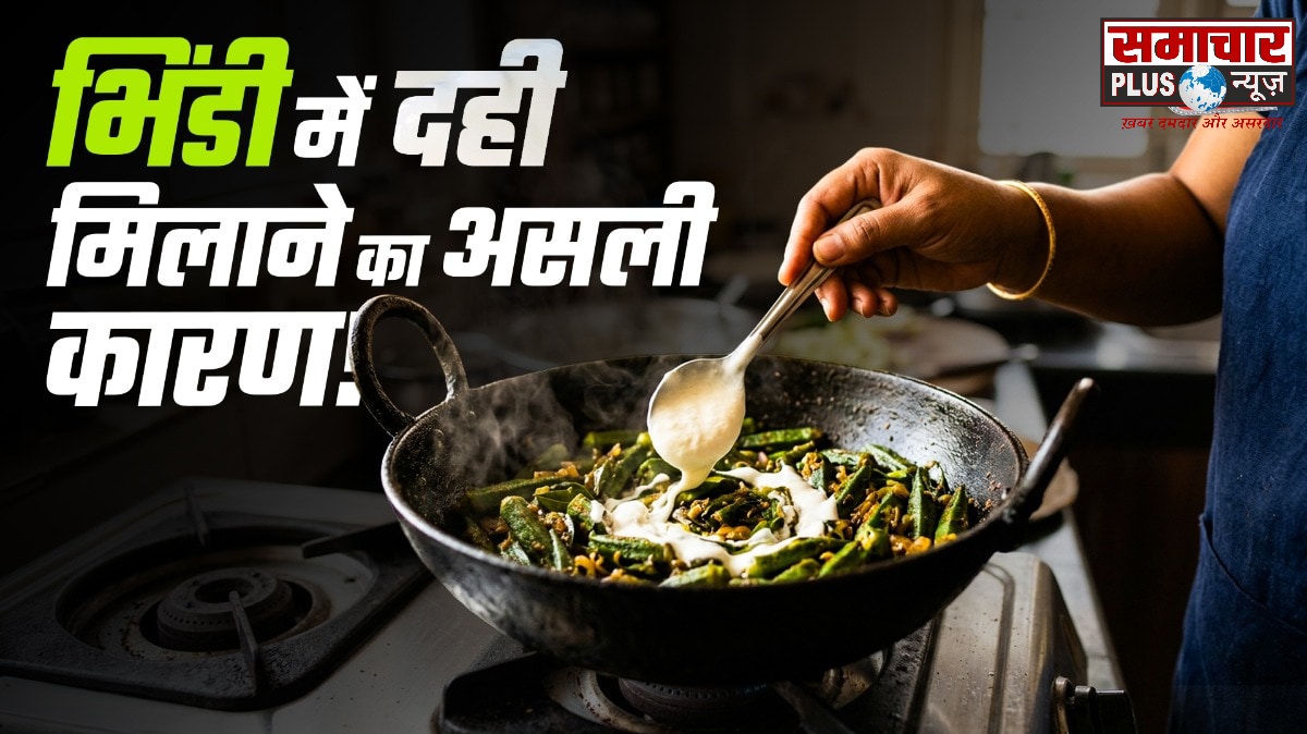 भिंडी की सब्जी बनाते समय क्यों डालते हैं दही? वजह जानकर आप भी आजमाएंगे ये आसान किचन ट्रिक।