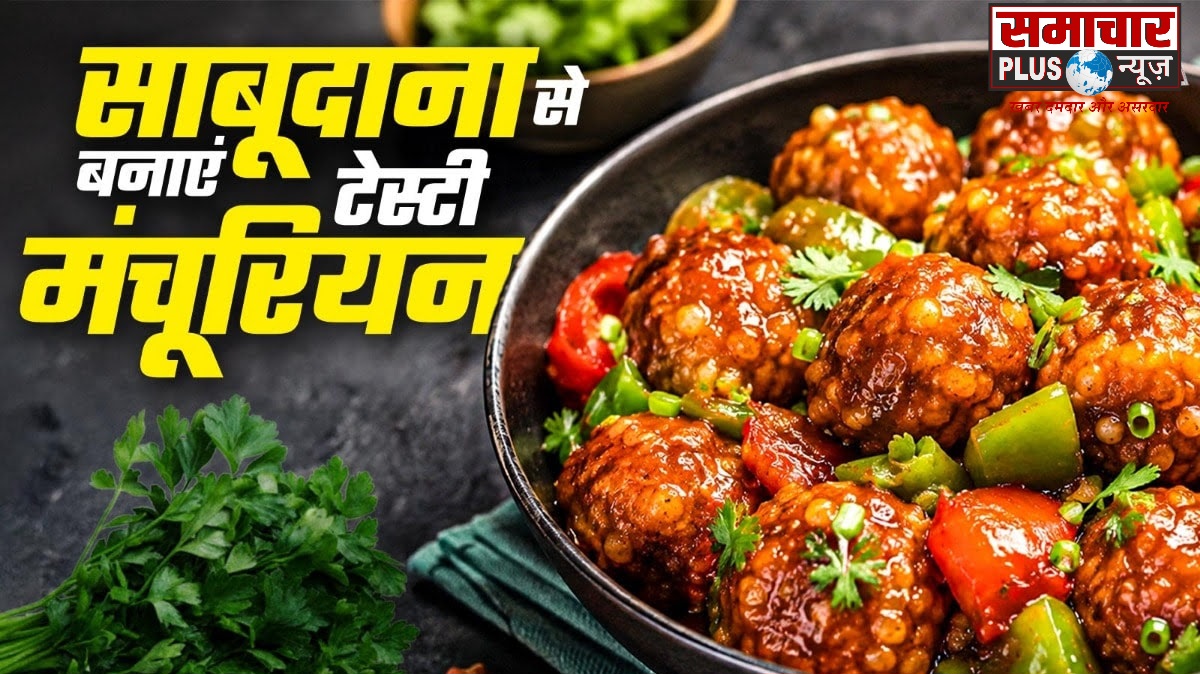 घर पर बनाएं साबूदाने का चटपटा मंचूरियन, एक बार खाएंगे तो बार-बार बनाएंगे।