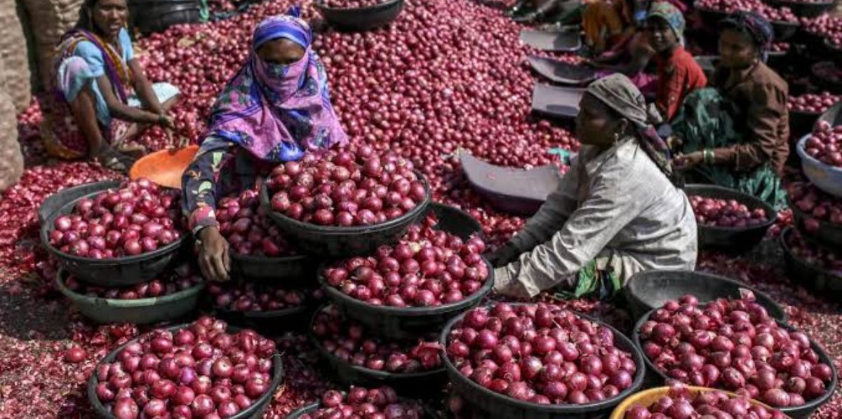 अब सरकार ने बढ़ाए प्याज खरीद के दाम, आमजन के लिए भी महंगा होगा प्याज।