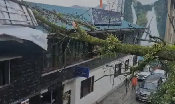 उत्तराखंड के मसूरी में बारिश के बीच माल रोड पर गिरा पेड़, होटल की छत और रेलिंग क्षतिग्रस्त।