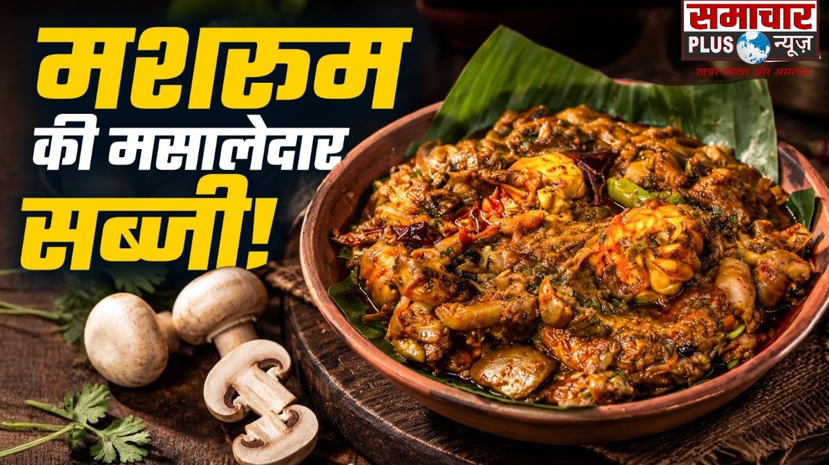 चिकन-मटन छोड़िए, साबुत लहसुन डालकर बनाएं टेस्टी हांडी मशरूम, उंगलियां चाटते रह जाएंगे घरवाले।