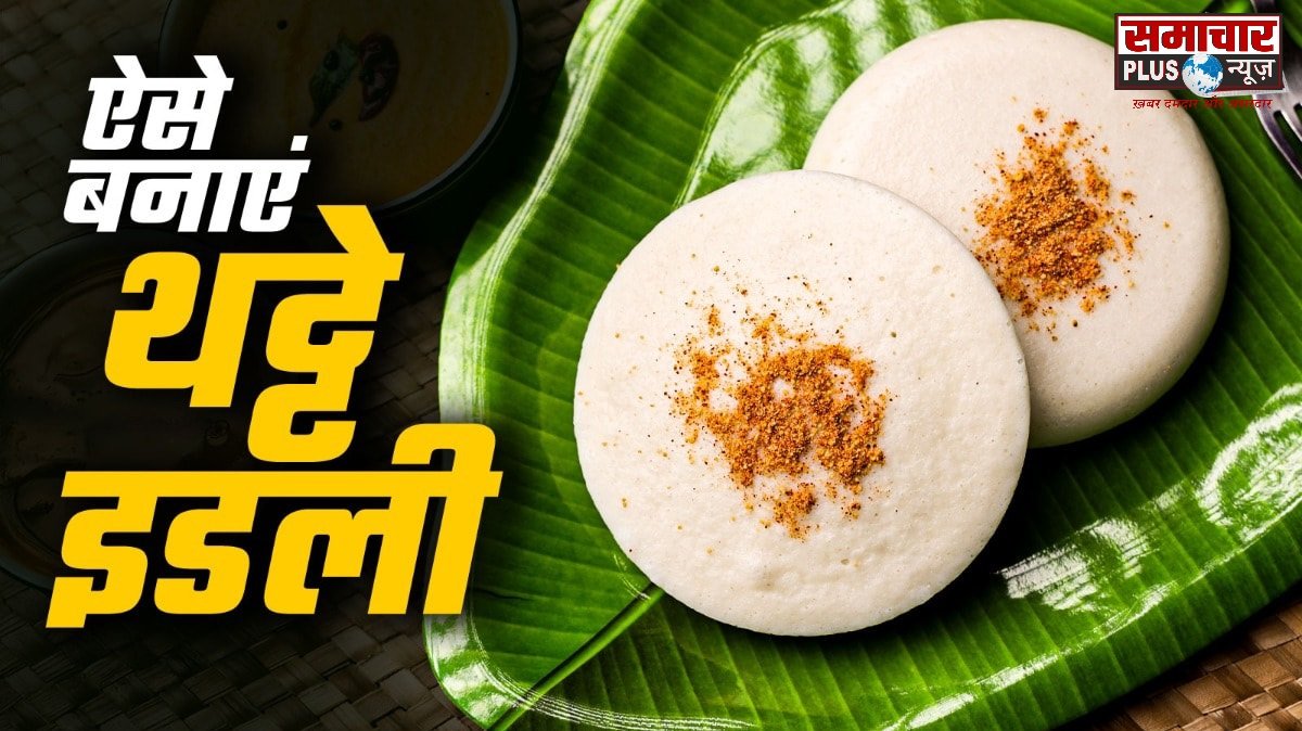 हर बार एक जैसी इडली खाना छोड़िए, चावल में उड़द दाल और पोहा मिलाकर बनाएं फूली-फूली थट्टे इडली, बनेगी रुई जैसी मुलायम।
