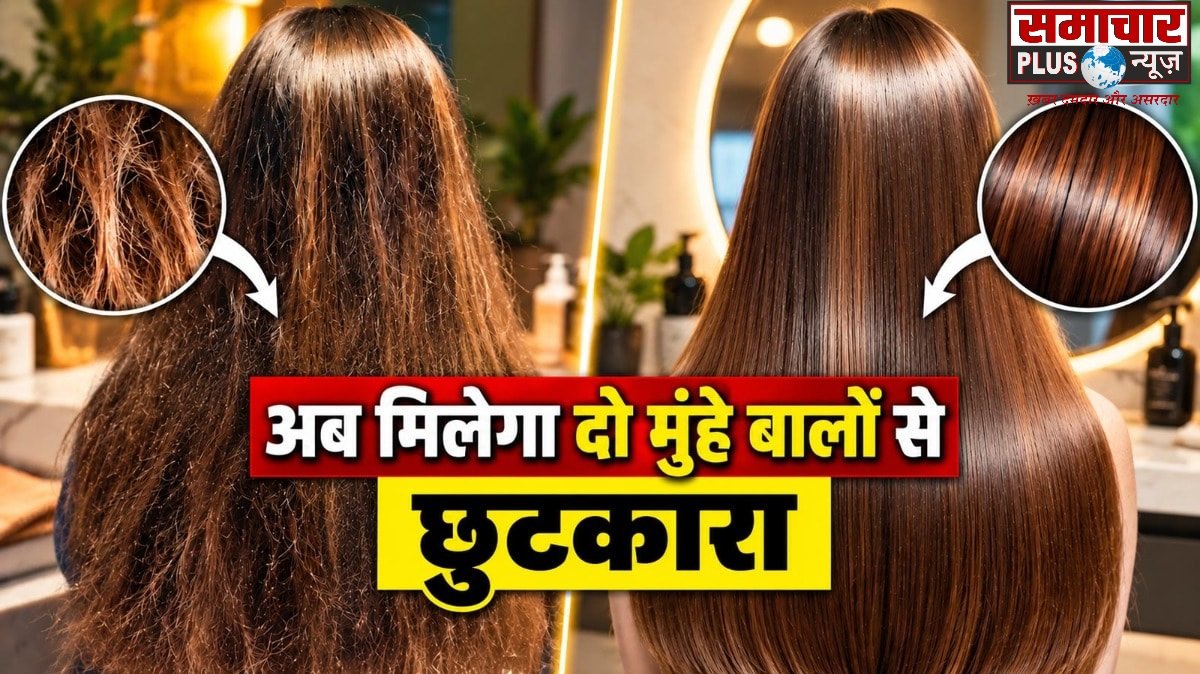 पार्लर के ट्रीटमेंट्स छोड़ें, एलोवेरा में मिलाकर लगाएं ये एक चीज मिलाकर बनाएं नेचुरल सीरम, दो मुंहे बालों से मिलेगा छुटकारा।