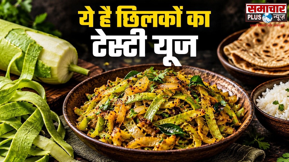 लौकी काटकर फेंक देते हैं छिलके, इकट्ठा कर इससे बनाएं चटपटी और टेस्टी भुजिया, रोटी-चावल संग लगेगी मजेदार।