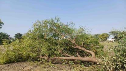 उत्तराखंड में ऋषिकेश बाईपास निर्माण, फिर हरियाली की कीमत पर होगा विकास, 3998 पेड़ों पर मंडरा रहा है संकट।