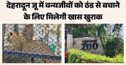 उत्तराखंड की राजधानी के जू: सर्दी से बचाने का मेन्यू तैयार, चिड़ियां खाएंगी बादाम, हिरण गुड़ तो भालू चबाएंगे मूंगफली।